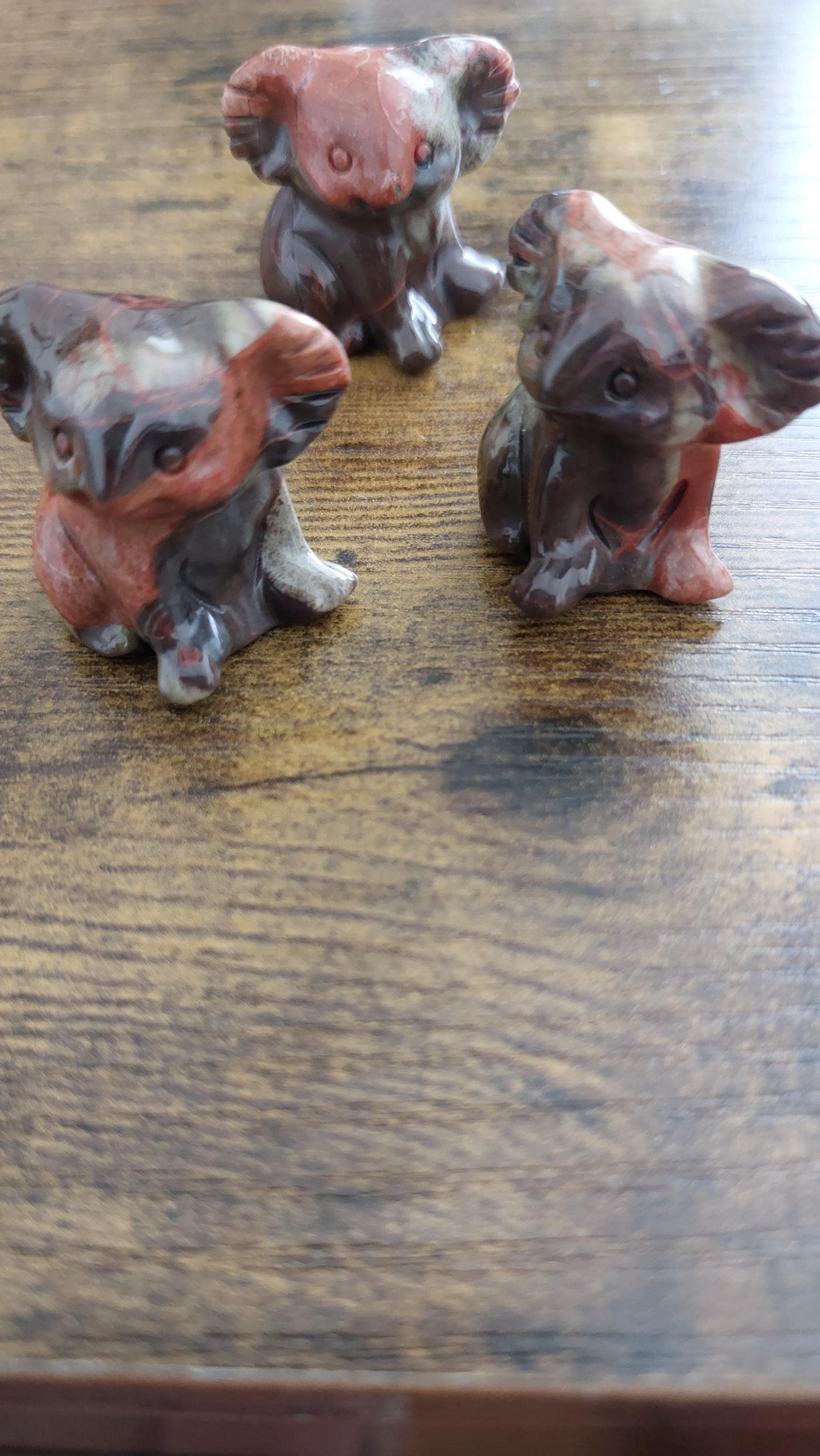 Small polychrome Jasper koala