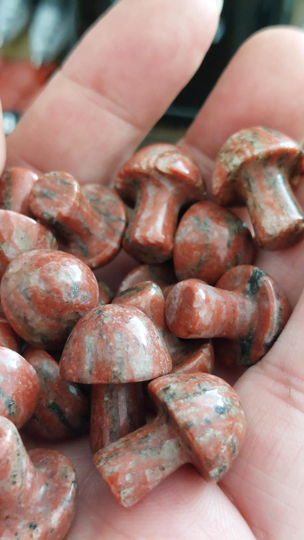 sesame jasper mushrooms 20mm