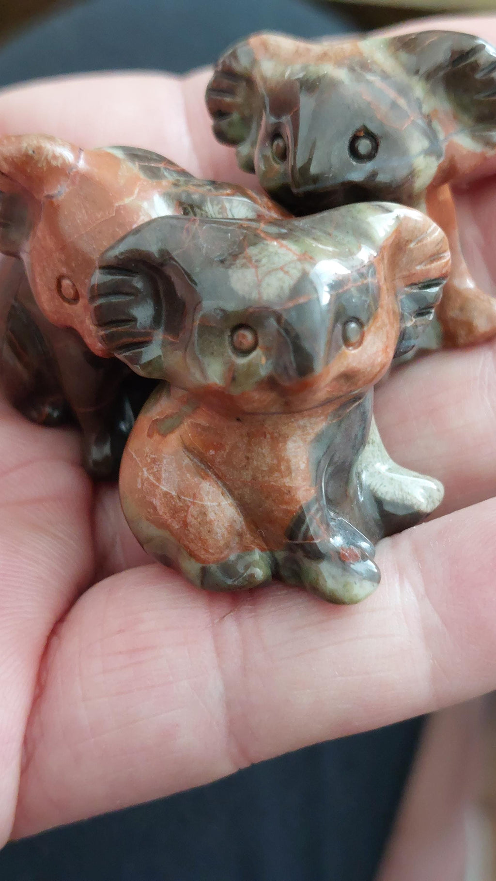 Small polychrome Jasper koala