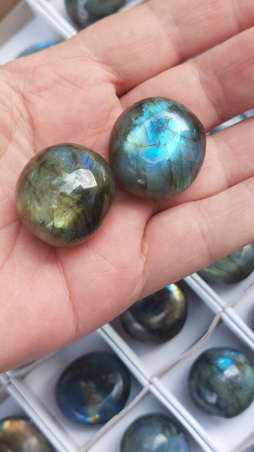 2 Polished Mini Rounded Labradorite free forms