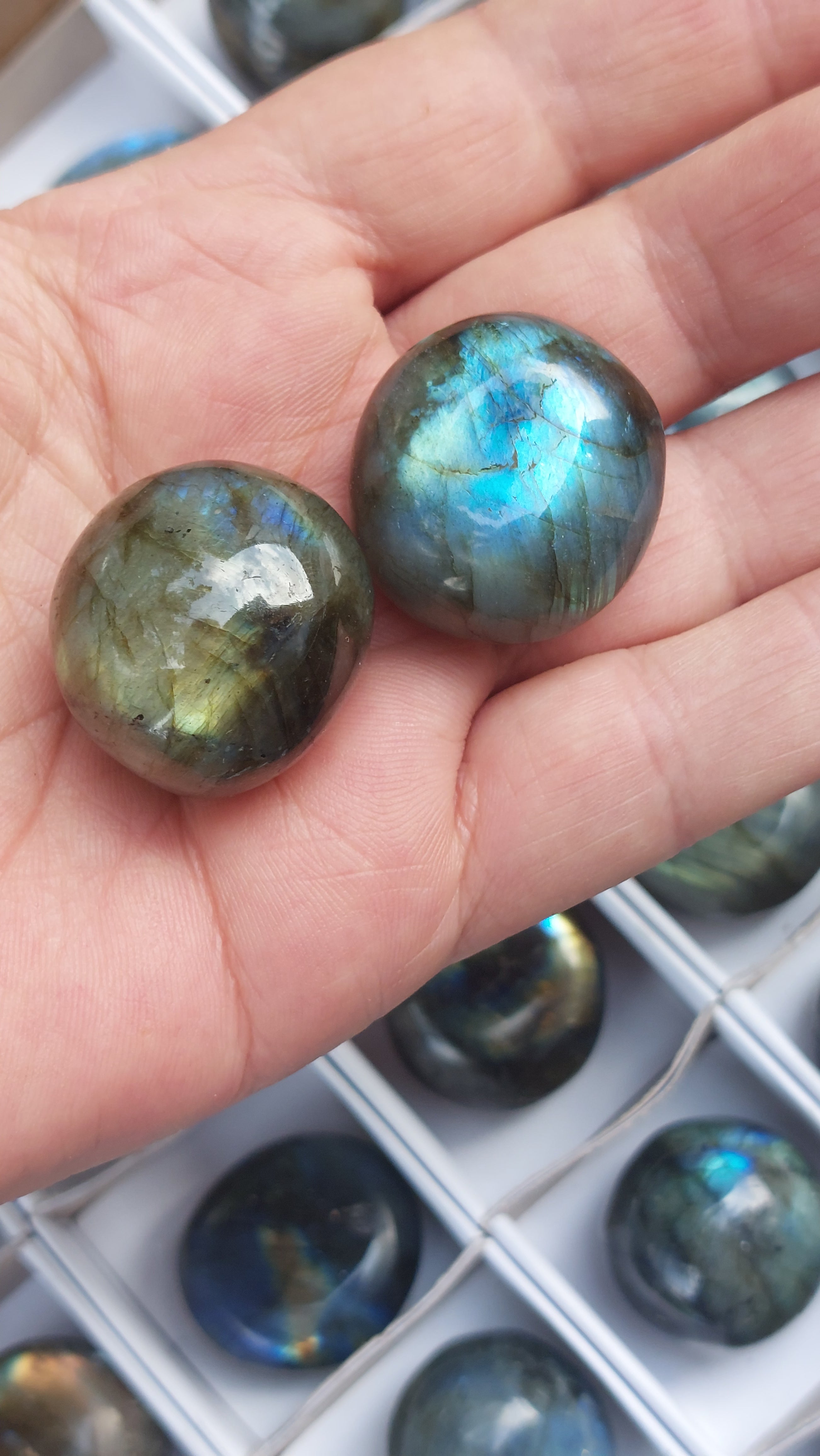 2 Polished Mini Rounded Labradorite free forms