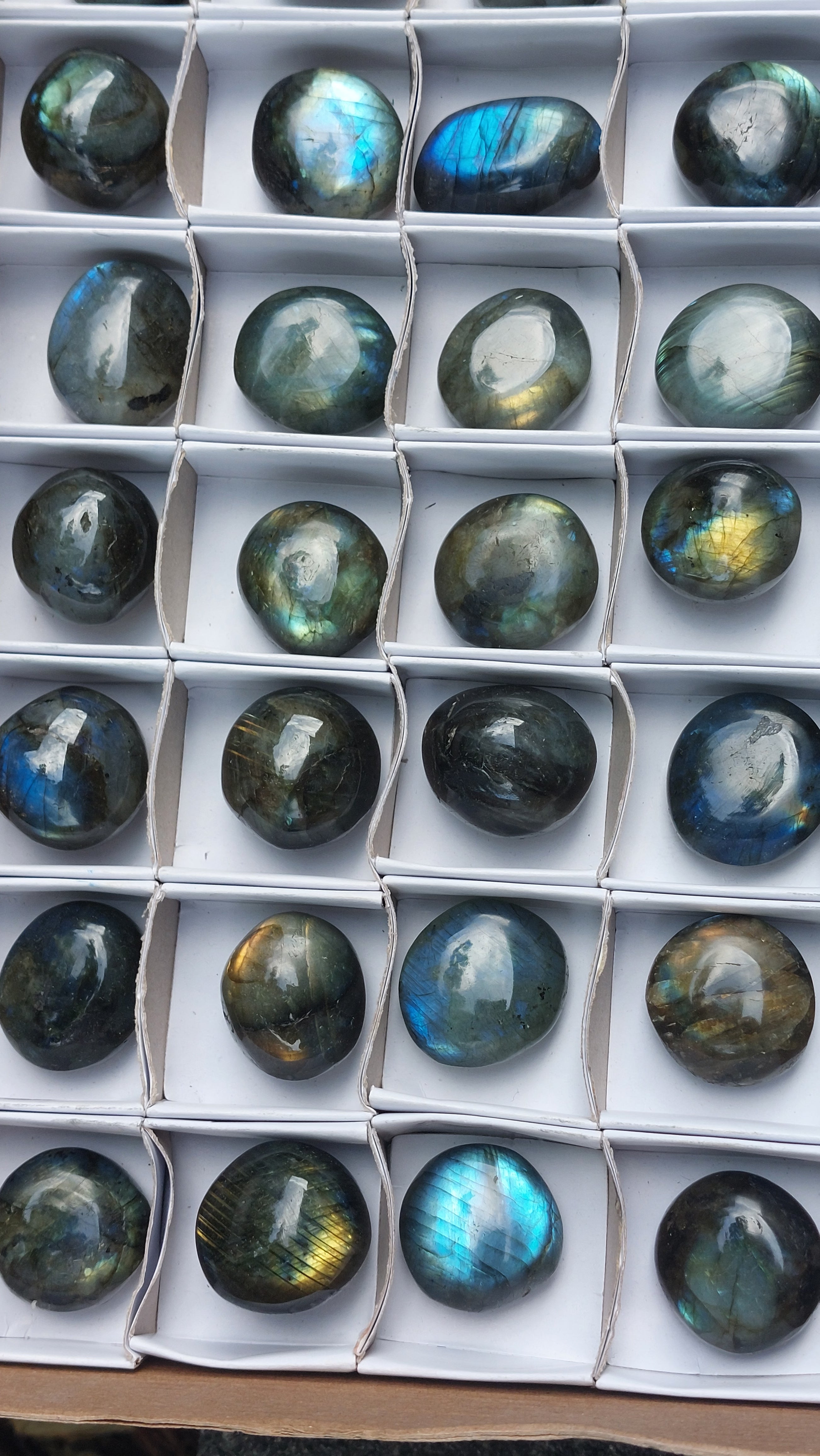 2 Polished Mini Rounded Labradorite free forms