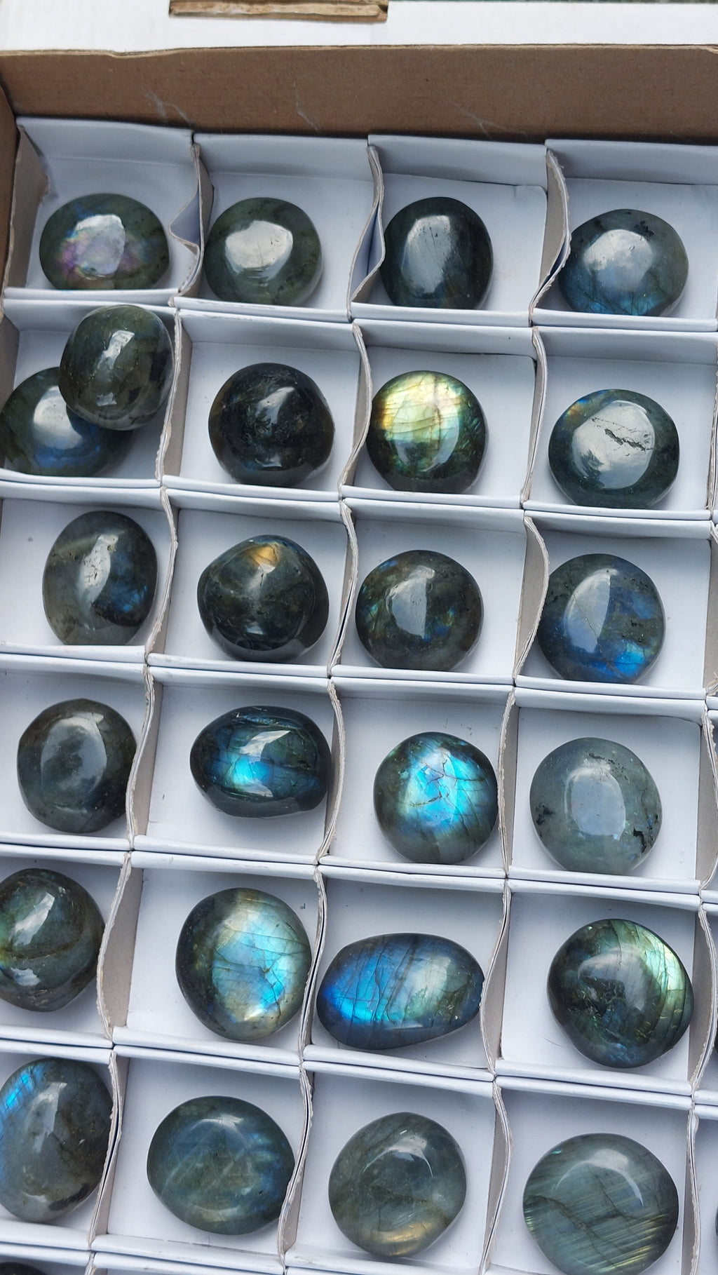 2 Polished Mini Rounded Labradorite free forms