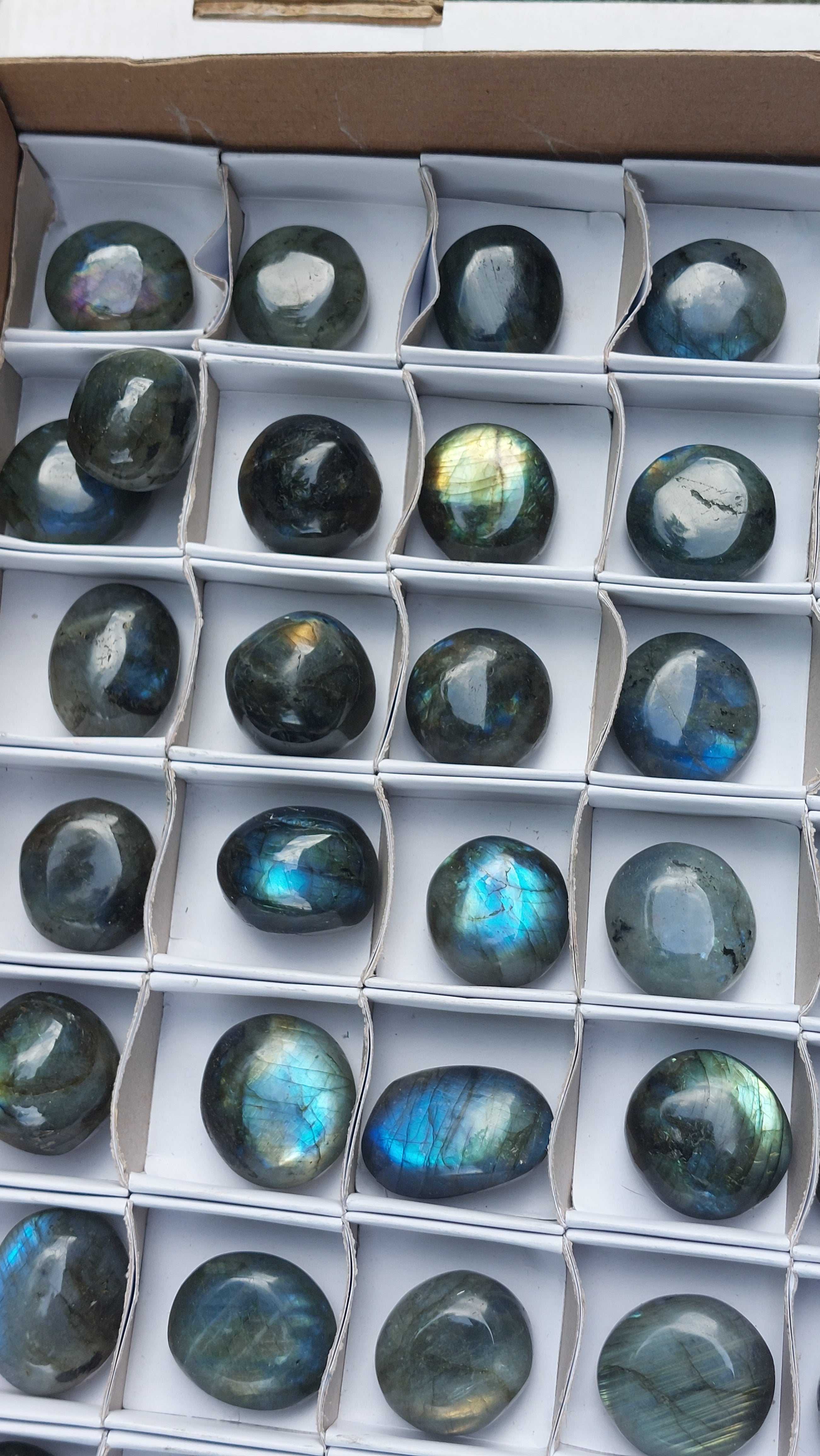 2 Polished Mini Rounded Labradorite free forms