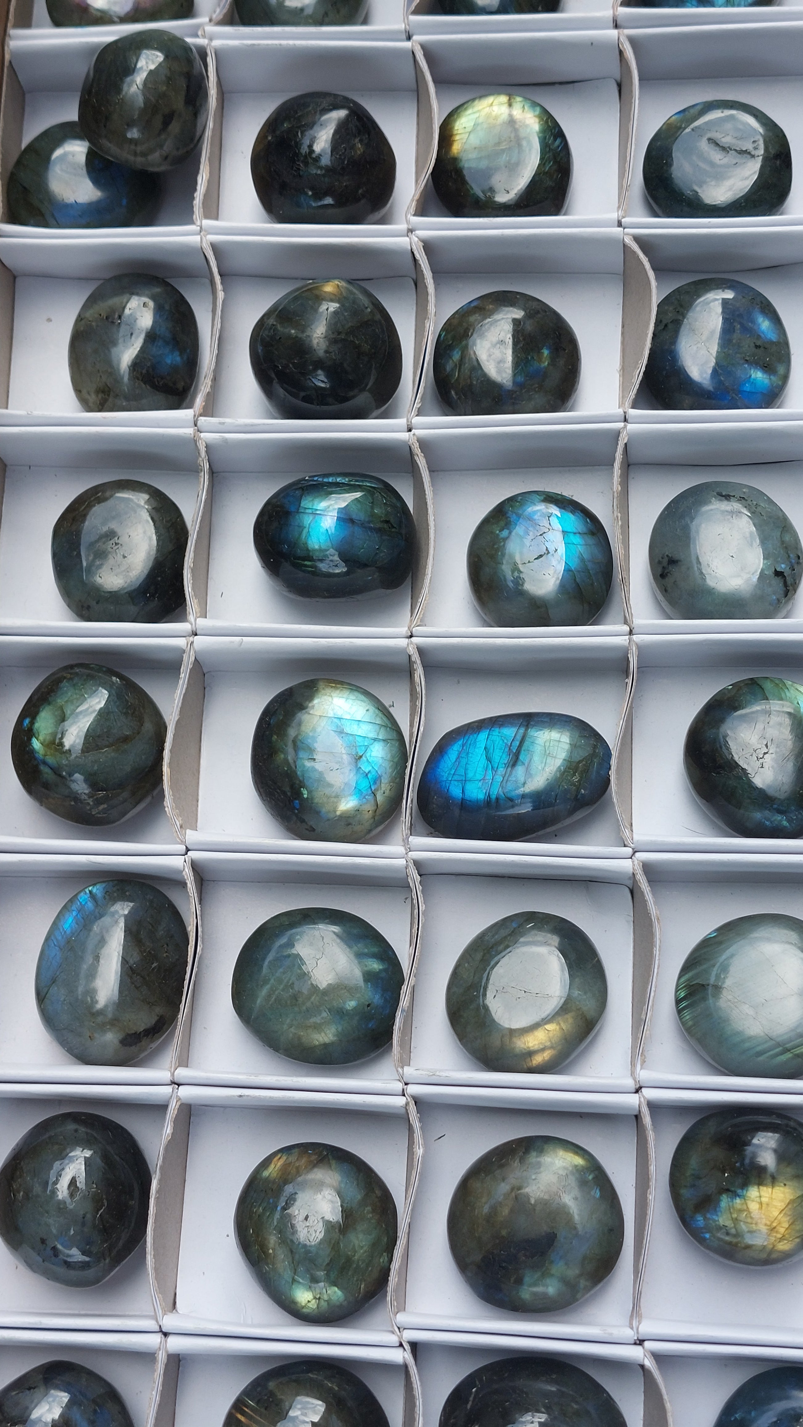 2 Polished Mini Rounded Labradorite free forms