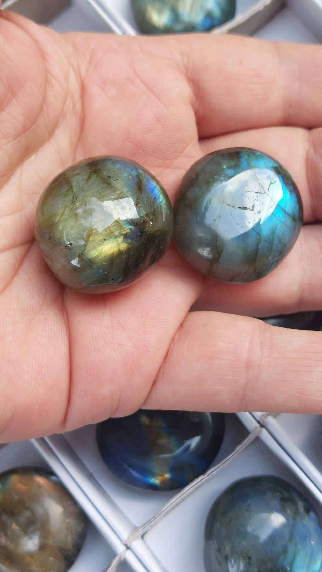 2 Polished Mini Rounded Labradorite free forms