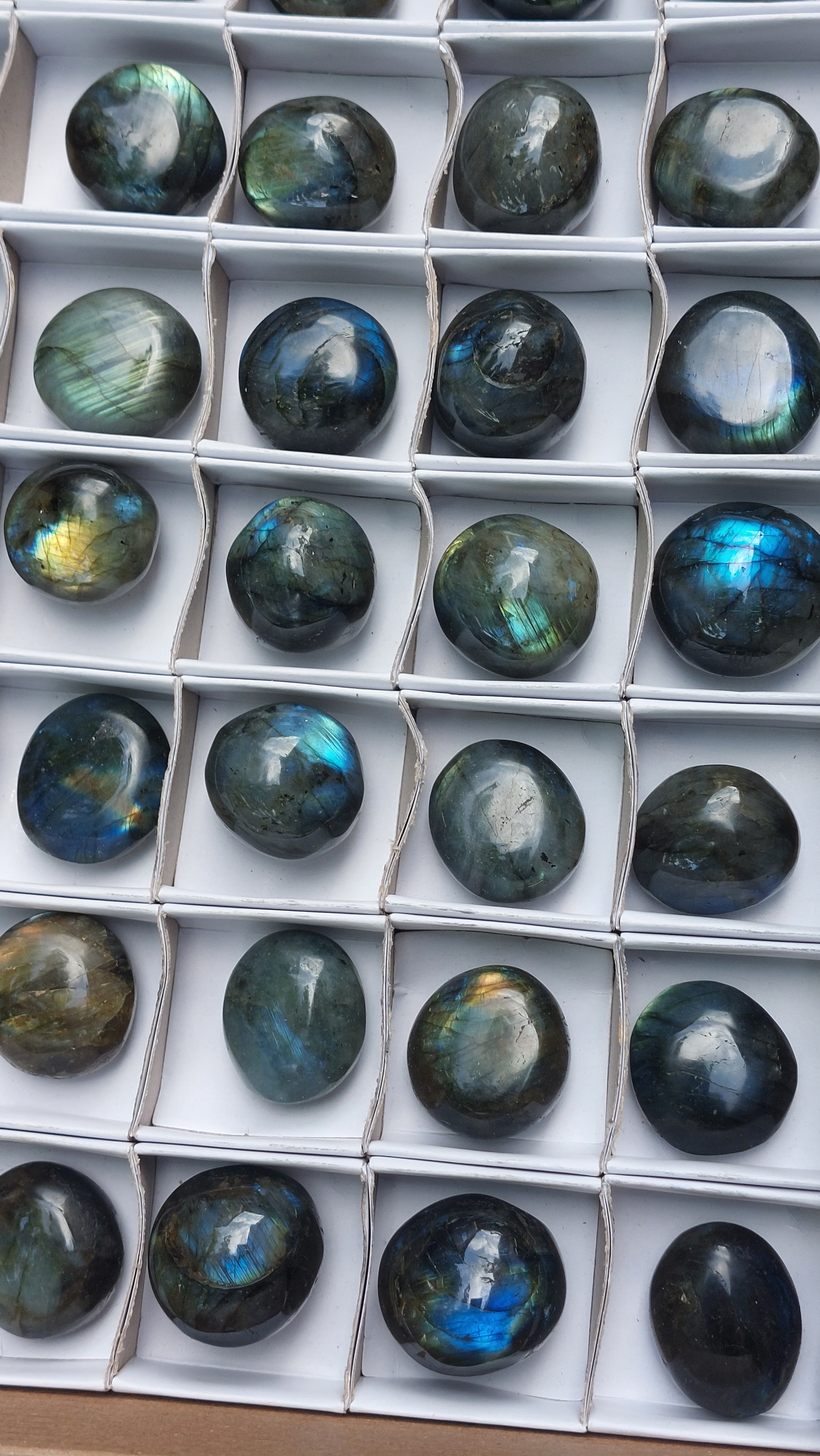 2 Polished Mini Rounded Labradorite free forms