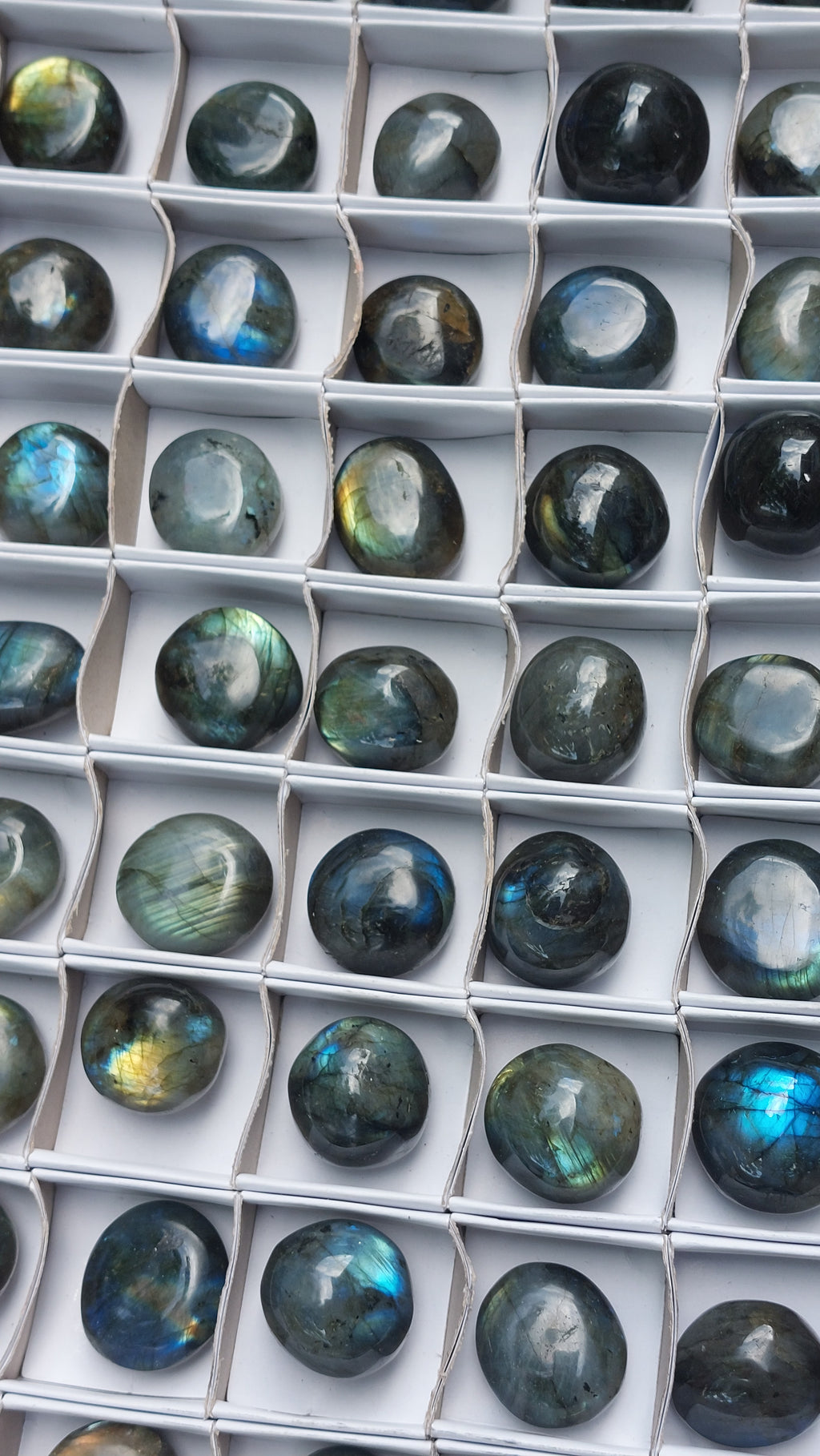 2 Polished Mini Rounded Labradorite free forms