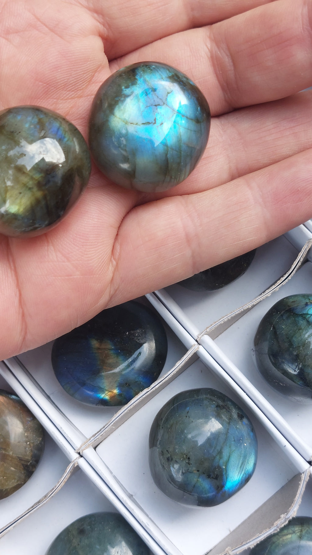 2 Polished Mini Rounded Labradorite free forms