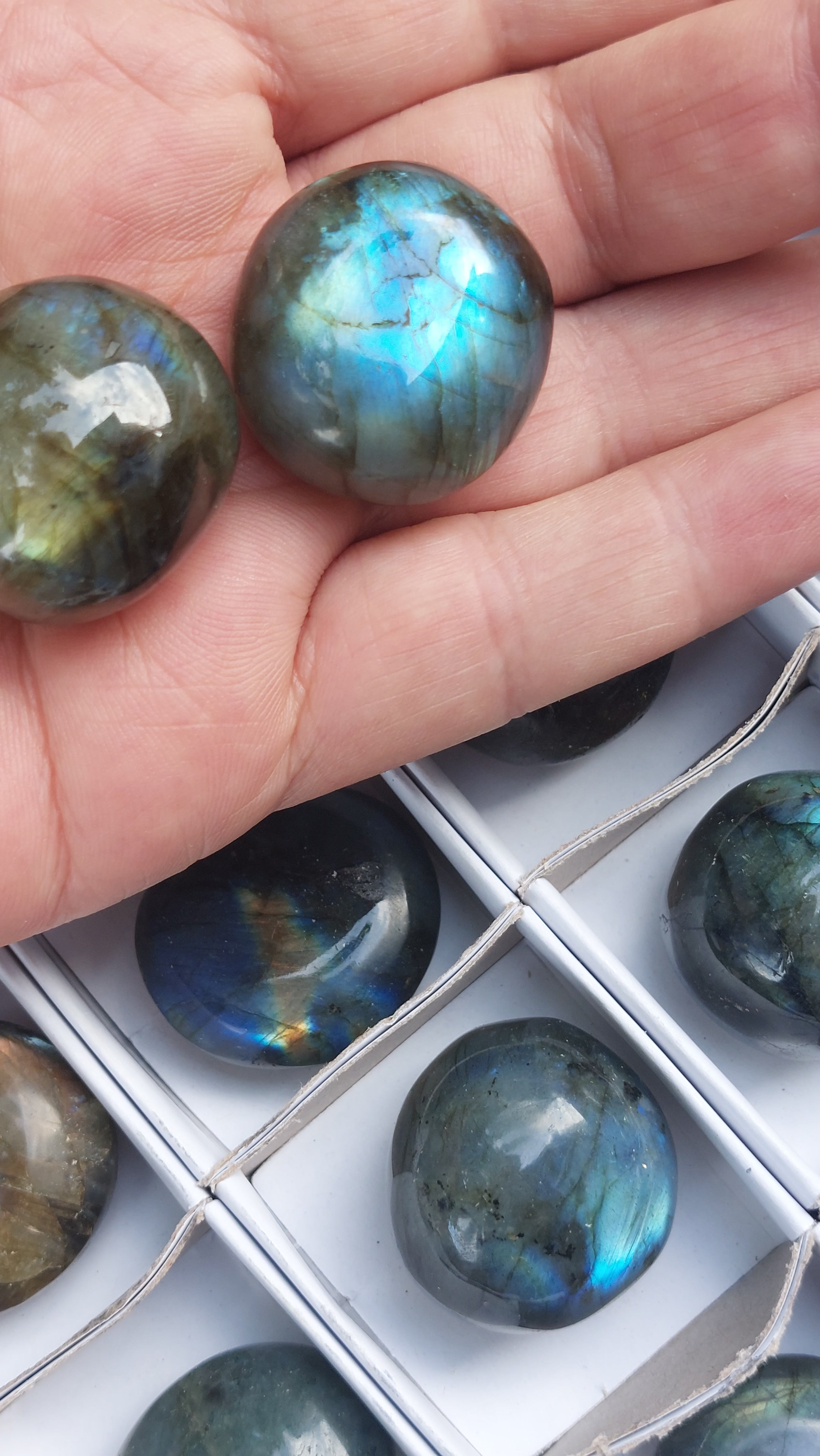 2 Polished Mini Rounded Labradorite free forms